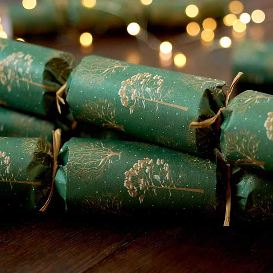 RSPB Chocolate Robins plastic-free Christmas crackers, box of six product photo side L