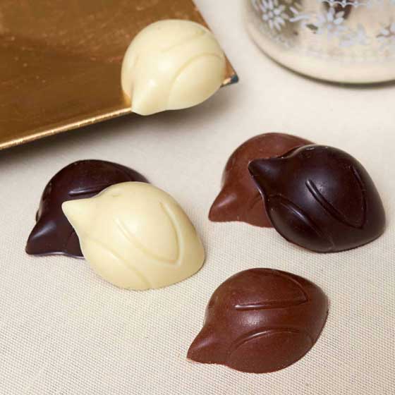 RSPB Chocolate Robins plastic-free Christmas crackers, box of six product photo ai5 L