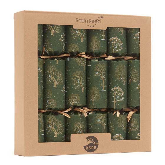 RSPB Chocolate Robins plastic-free Christmas crackers, box of six product photo ai4 L
