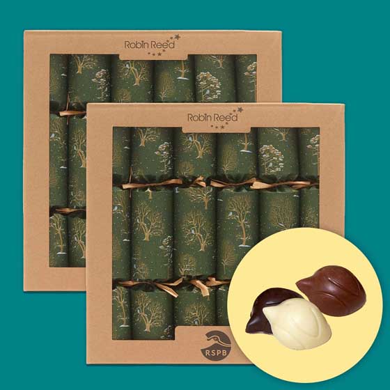 RSPB Chocolate Robins Christmas crackers, two boxes of six product photo default L