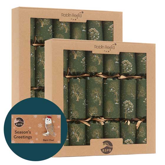 Winter trees recycled crackers with pin badges, 2x boxes of six product photo default L