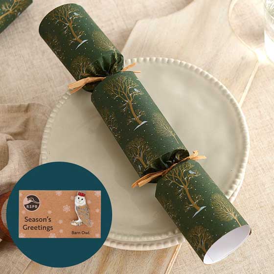 Winter trees recycled crackers with pin badges, box of six product photo default L