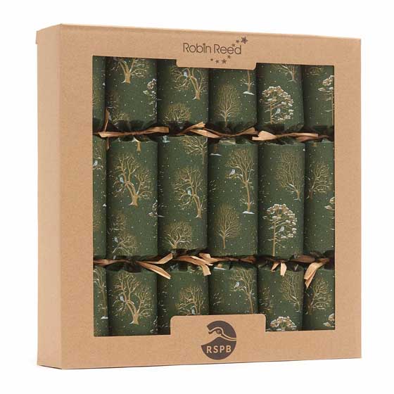 Winter trees recycled crackers with pin badges, box of six product photo front L