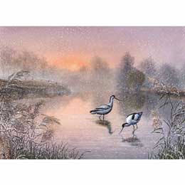Avocets & misty waters Christmas cards, pack of 10 product photo