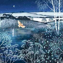 Barn Owl over moonlit pool Christmas cards, pack of 10 product photo