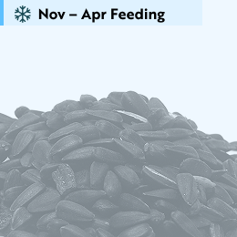 Black sunflower seeds 5.5kg product photo