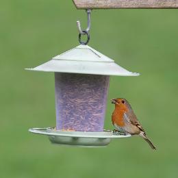 Eco beacon bird feeder product photo