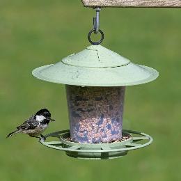 Eco beacon bird feeder product photo