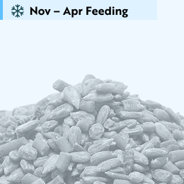 Favourites blend bird food 5.5kg product photo