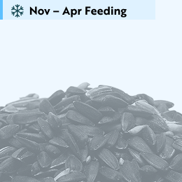 Feeder mix bird food 5.5kg product photo