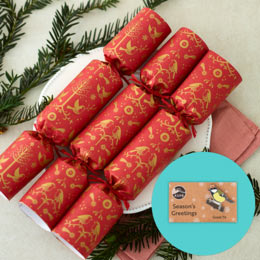 RSPB Pin badge plastic-free Christmas crackers, box of six product photo