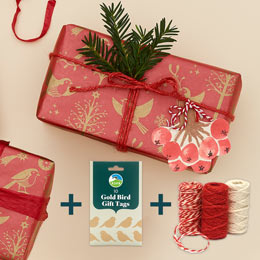 Folksy Robin wrapping paper bundle product photo