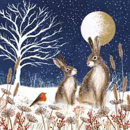 Hares by moonlight Christmas cards, pack of 10 product photo