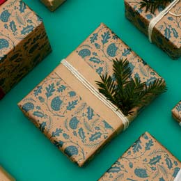 Hidden Hedgehog wrapping paper, 10 metres product photo