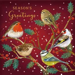 Holly garden birds Christmas cards, pack of 10 product photo
