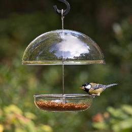 I Love Robins® large dome feeder product photo