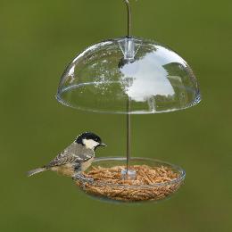 I Love Robins® pearl feeder product photo