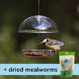 I love Robins® pearl feeder & dried mealworms product photo
