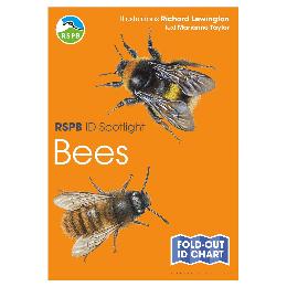 Bees identifier chart - RSPB ID Spotlight series product photo
