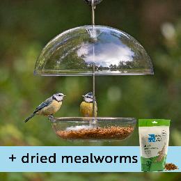 I love Robins® large dome feeder & dried mealworms product photo