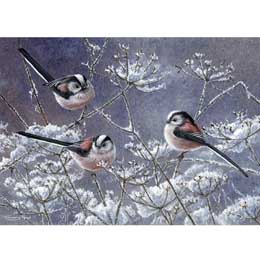 Long-tailed tidings Christmas cards, pack of 10 product photo