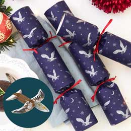Moonlit Owl recycled crackers with glider toys, box of six product photo