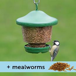 My favourites hanging bird feeder with mealworms product photo