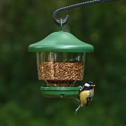 My favourites feeder product photo