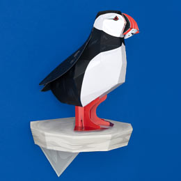 Create your own proud little Puffin kit product photo