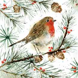 Radiant Robin Christmas cards, pack of 10 product photo