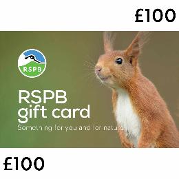 RSPB E-gift card £100 product photo