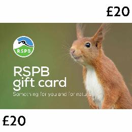 RSPB E-gift card £20 product photo