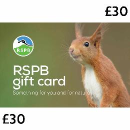 RSPB E-gift card £30 product photo