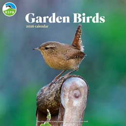 RSPB Garden birds calendar 2026 product photo