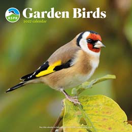 RSPB Garden birds calendar 2027 product photo