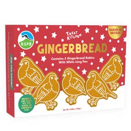 RSPB Gingerbread Robins icing kit product photo