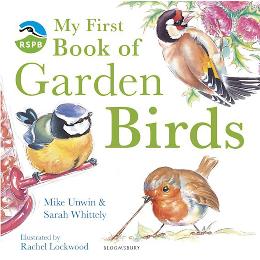 My First Book of Garden Birds product photo