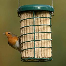 RSPB Super suet logs, sunflower hearts x8 product photo