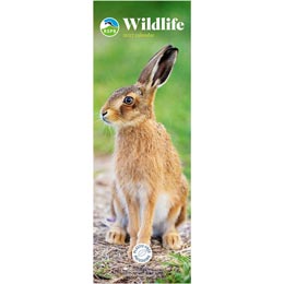 RSPB Wildlife calendar 2027 product photo