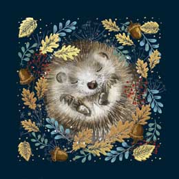 Sleepy Hedgehog Christmas cards, pack of 10 product photo