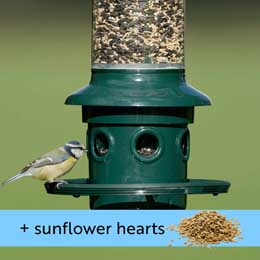 Squirrel Buster Plus and Sunflower hearts product photo