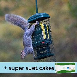 Squirrel Buster suet feeder and Super suet cakes - mealworm product photo