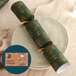 Winter trees recycled crackers with pin badges, box of six product photo