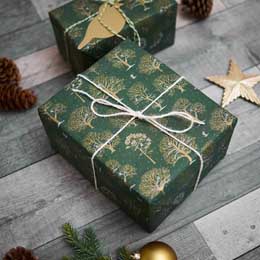 Winter trees recycled wrapping paper, 5 metres product photo