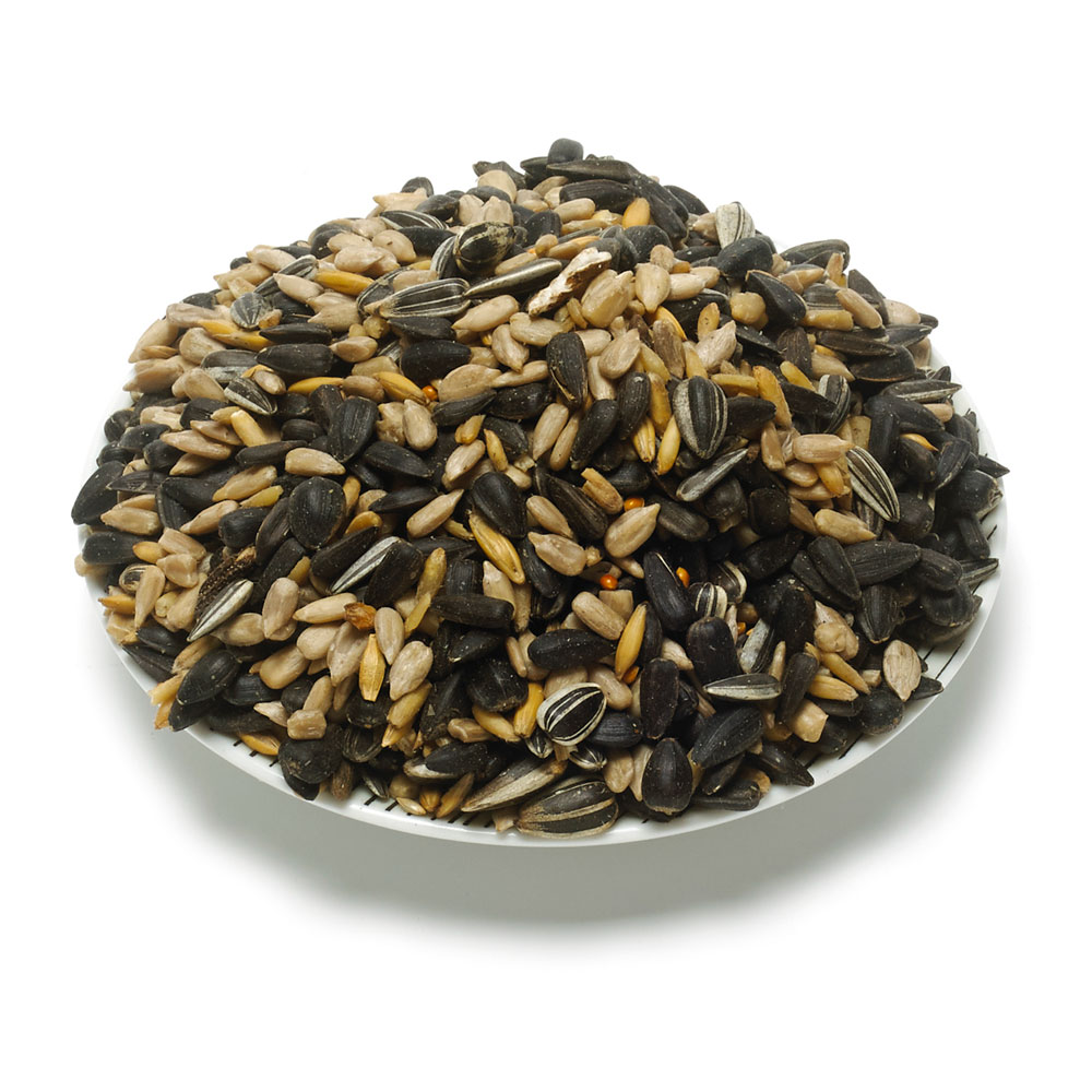 Feeder mix extra bird seed product photo front L