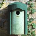 Woodcrete by Schwegler 32mm nest box product photo default T