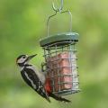 RSPB Ultimate suet feeder product photo side T