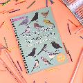 Amazing British garden birds activity book product photo default T