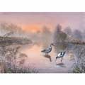Avocets & misty waters Christmas cards, pack of 10 product photo default T