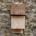 RSPB single chamber bat box product photo default T